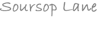 Soursop Lane Logo Footer